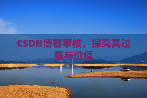 CSDN博客审核,探究其过程与价值